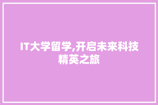 IT大学留学,开启未来科技精英之旅