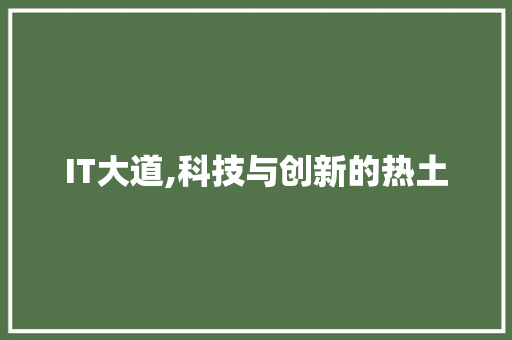 IT大道,科技与创新的热土 百度SEO