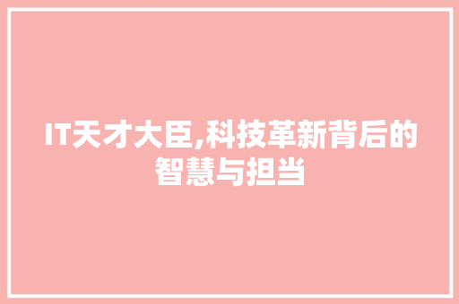 IT天才大臣,科技革新背后的智慧与担当 百度SEO