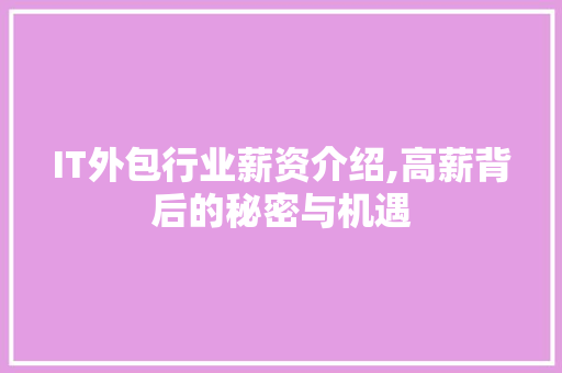 IT外包行业薪资介绍,高薪背后的秘密与机遇
