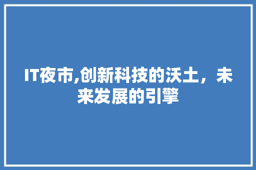IT夜市,创新科技的沃土，未来发展的引擎