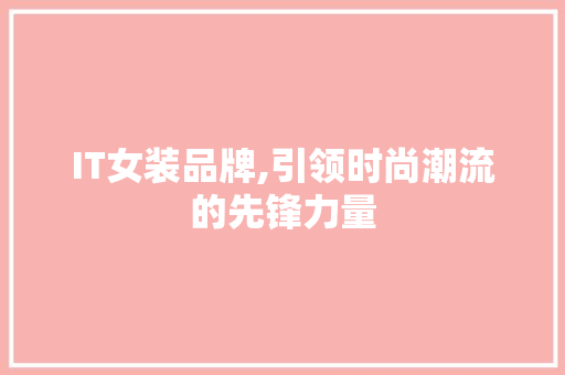 IT女装品牌,引领时尚潮流的先锋力量 搜狗SEO