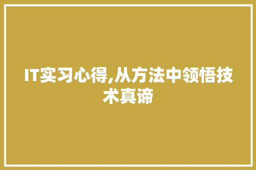 IT实习心得,从方法中领悟技术真谛