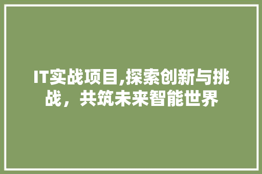 IT实战项目,探索创新与挑战，共筑未来智能世界