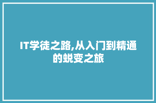 IT学徒之路,从入门到精通的蜕变之旅