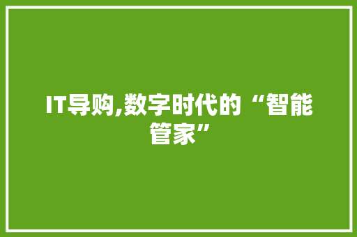 IT导购,数字时代的“智能管家”