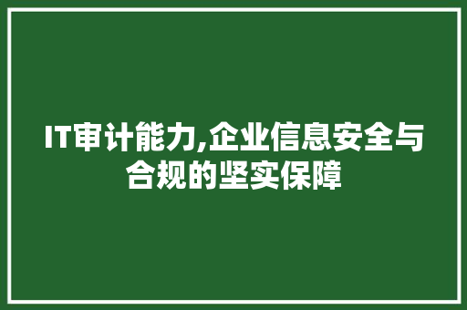IT审计能力,企业信息安全与合规的坚实保障 百度SEO