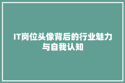 IT岗位头像背后的行业魅力与自我认知