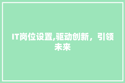 IT岗位设置,驱动创新，引领未来