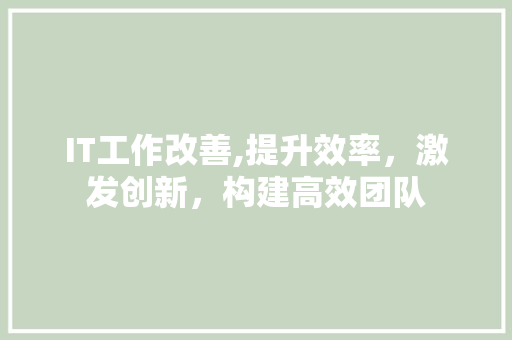 IT工作改善,提升效率，激发创新，构建高效团队