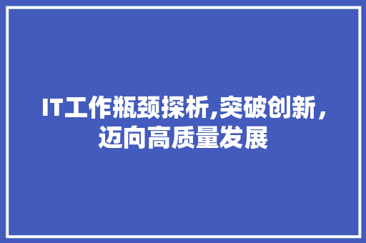 IT工作瓶颈探析,突破创新，迈向高质量发展