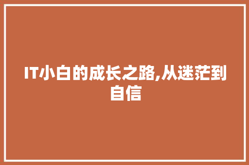 IT小白的成长之路,从迷茫到自信