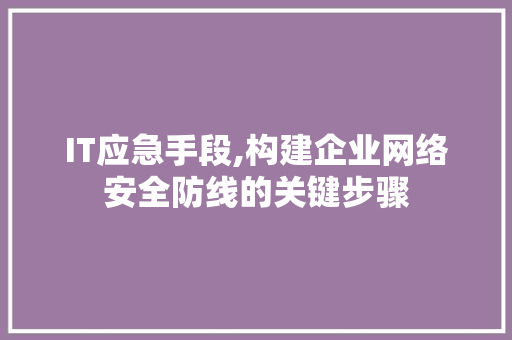 IT应急手段,构建企业网络安全防线的关键步骤