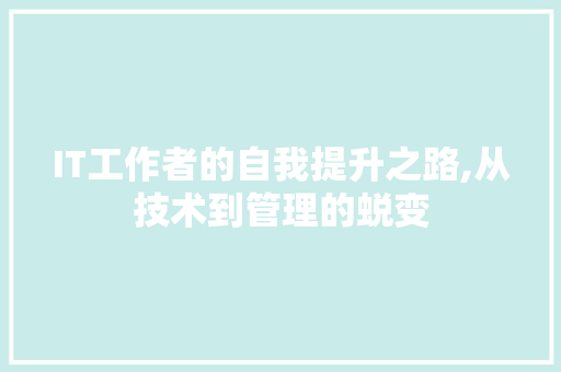 IT工作者的自我提升之路,从技术到管理的蜕变