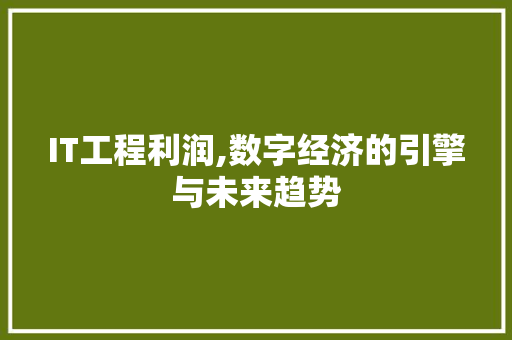 IT工程利润,数字经济的引擎与未来趋势 神马SEO