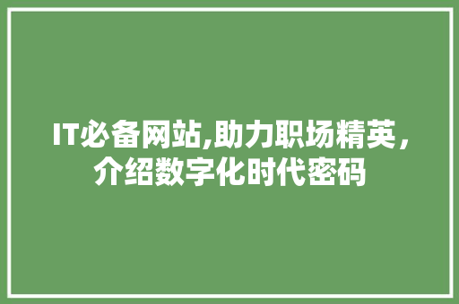 IT必备网站,助力职场精英，介绍数字化时代密码 网站建设公司