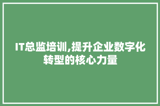 IT总监培训,提升企业数字化转型的核心力量 网站建设公司