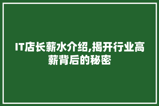 IT店长薪水介绍,揭开行业高薪背后的秘密