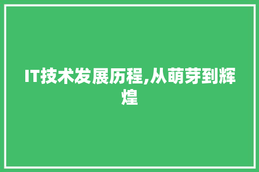 IT技术发展历程,从萌芽到辉煌 网站建设公司