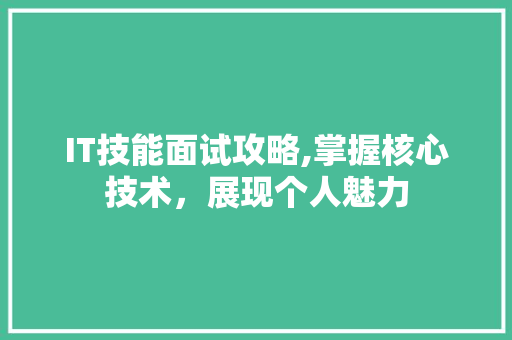 IT技能面试攻略,掌握核心技术，展现个人魅力