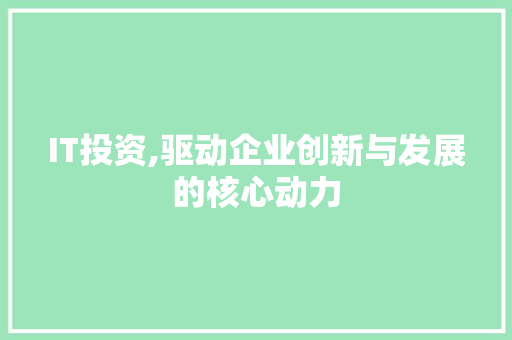 IT投资,驱动企业创新与发展的核心动力