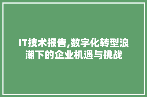 IT技术报告,数字化转型浪潮下的企业机遇与挑战