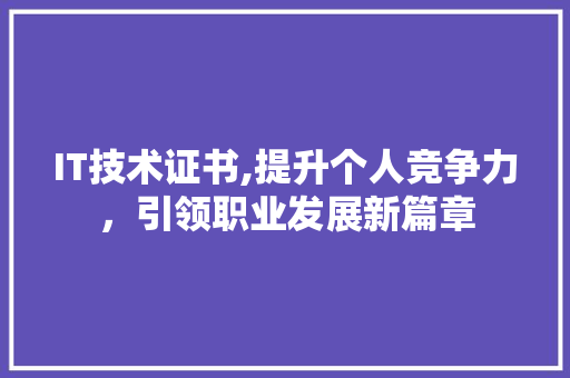IT技术证书,提升个人竞争力，引领职业发展新篇章