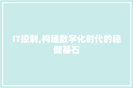 IT控制,构建数字化时代的稳健基石 必应SEO