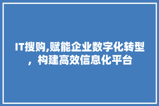 IT搜购,赋能企业数字化转型，构建高效信息化平台 SEO关键词