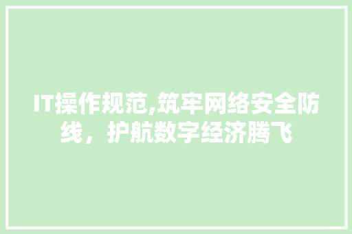 IT操作规范,筑牢网络安全防线，护航数字经济腾飞 必应SEO