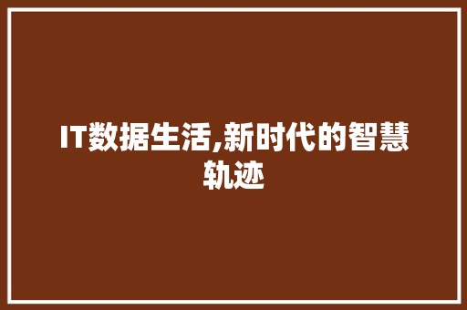 IT数据生活,新时代的智慧轨迹