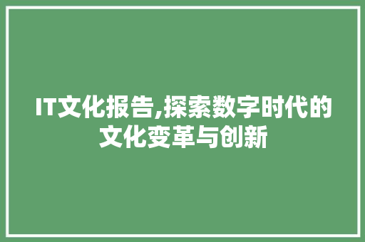 IT文化报告,探索数字时代的文化变革与创新