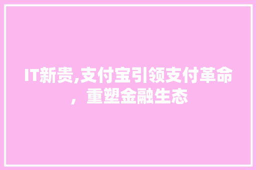IT新贵,支付宝引领支付革命，重塑金融生态