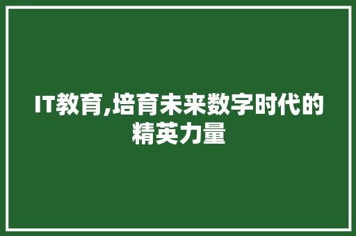 IT教育,培育未来数字时代的精英力量