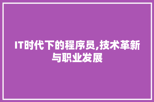 IT时代下的程序员,技术革新与职业发展 百度SEO