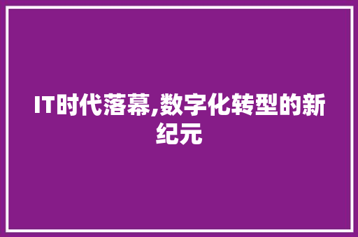 IT时代落幕,数字化转型的新纪元