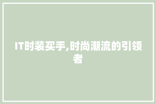 IT时装买手,时尚潮流的引领者 百度SEO