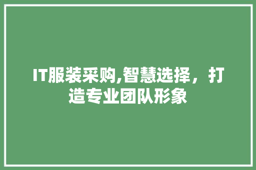 IT服装采购,智慧选择，打造专业团队形象 百度SEO