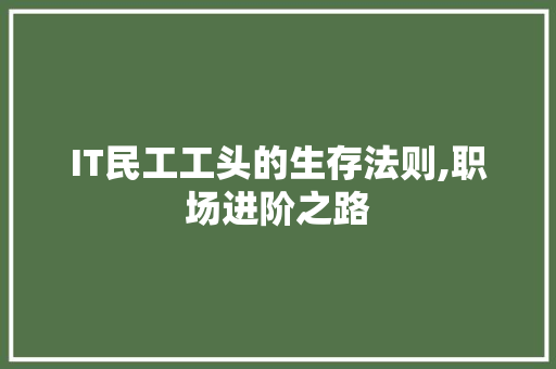 IT民工工头的生存法则,职场进阶之路