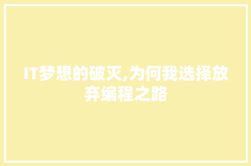 IT梦想的破灭,为何我选择放弃编程之路