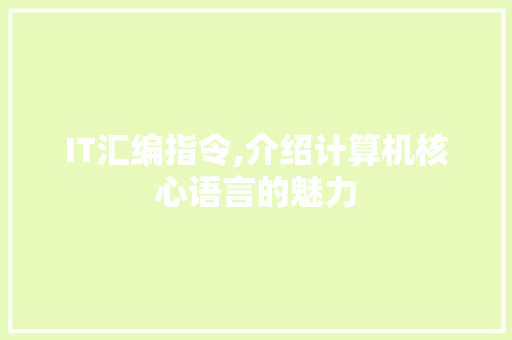 IT汇编指令,介绍计算机核心语言的魅力