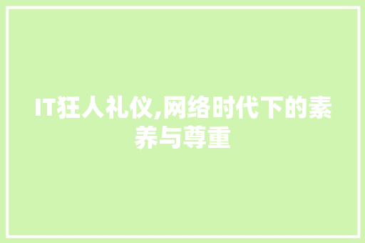 IT狂人礼仪,网络时代下的素养与尊重 必应SEO