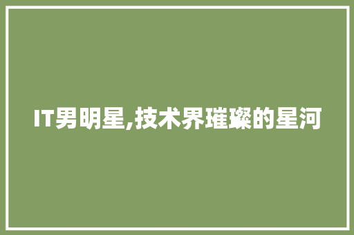 IT男明星,技术界璀璨的星河
