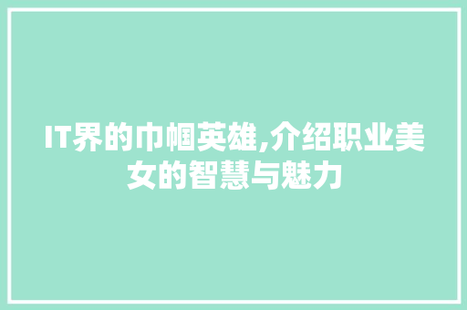 IT界的巾帼英雄,介绍职业美女的智慧与魅力