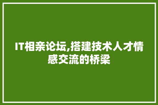IT相亲论坛,搭建技术人才情感交流的桥梁 神马SEO