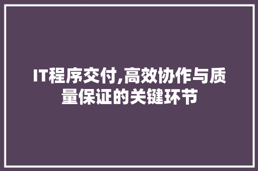 IT程序交付,高效协作与质量保证的关键环节