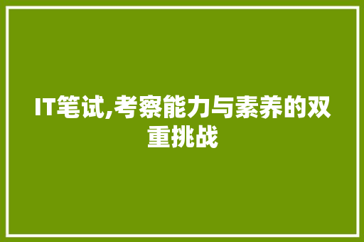 IT笔试,考察能力与素养的双重挑战 SEO关键词