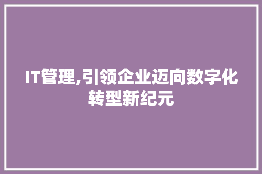 IT管理,引领企业迈向数字化转型新纪元