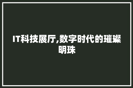 IT科技展厅,数字时代的璀璨明珠 SEO关键词