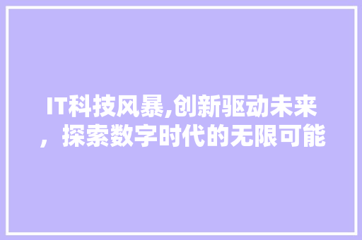 IT科技风暴,创新驱动未来，探索数字时代的无限可能